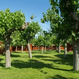 Location bungalow Tarragone